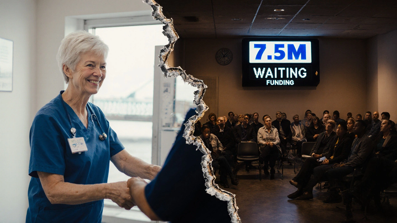 Split-screen: private clinic on one side, overcrowded NHS waiting room on the other, with a collapsing bridge between them.