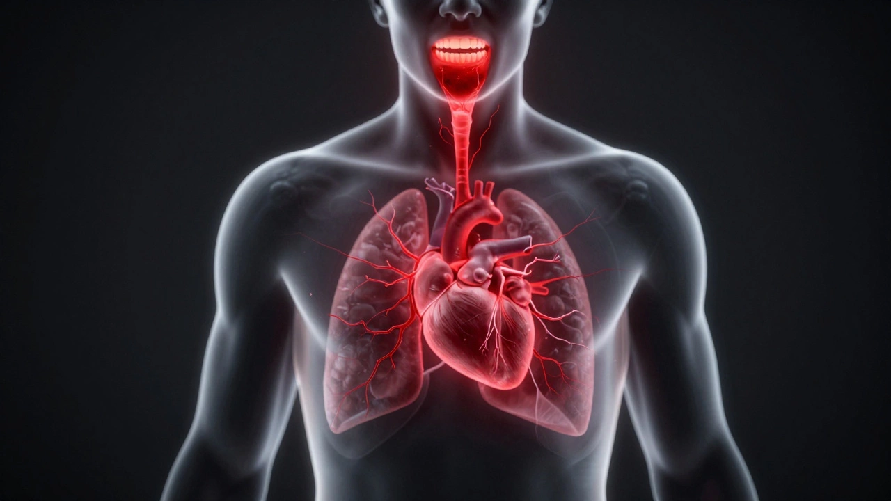 Anatomical illustration showing infection spreading from teeth to heart and lungs